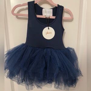 4 year plum tutu